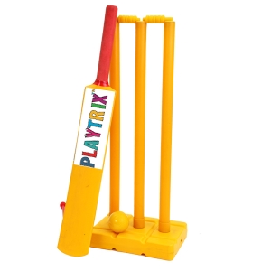 Master Play Cricket Set